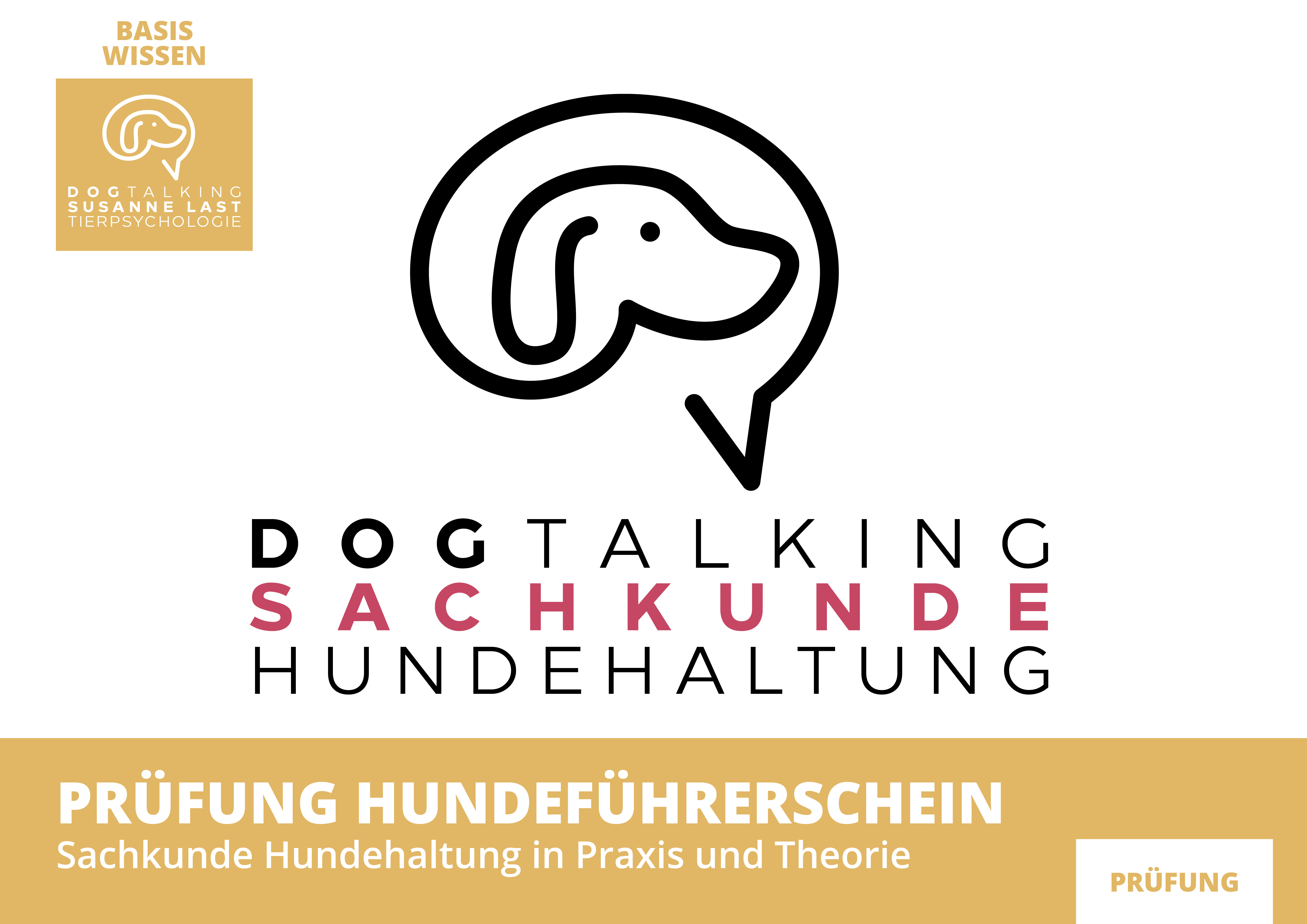 Hundeführerschein - Sachkunde Prüfung Theorie - Online