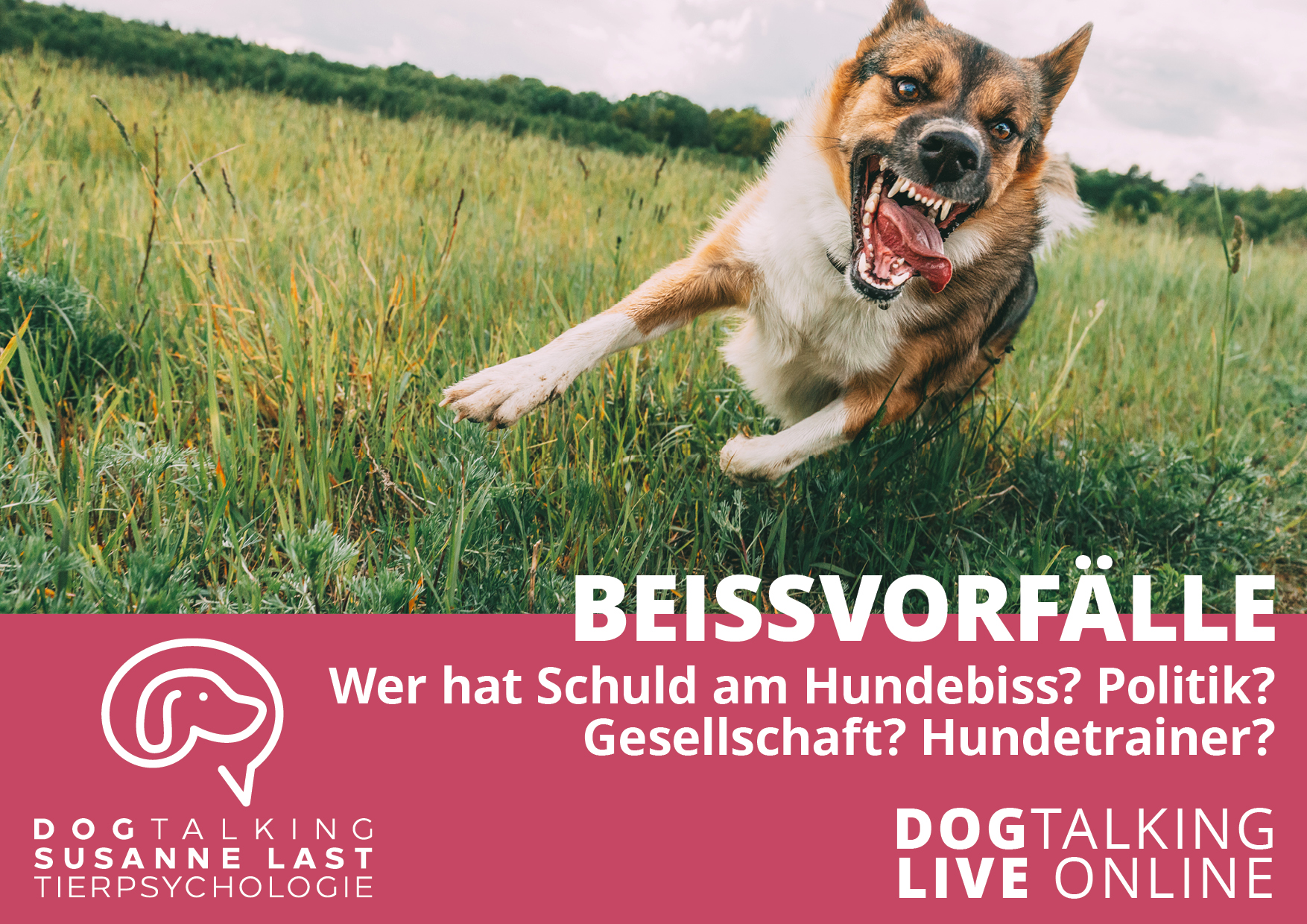 Beissvorfälle Wer ist Schuld am Hundebiss? Politik? Gesellschaft? Hundetrainer*innen? - Gespräch mit Perdita
