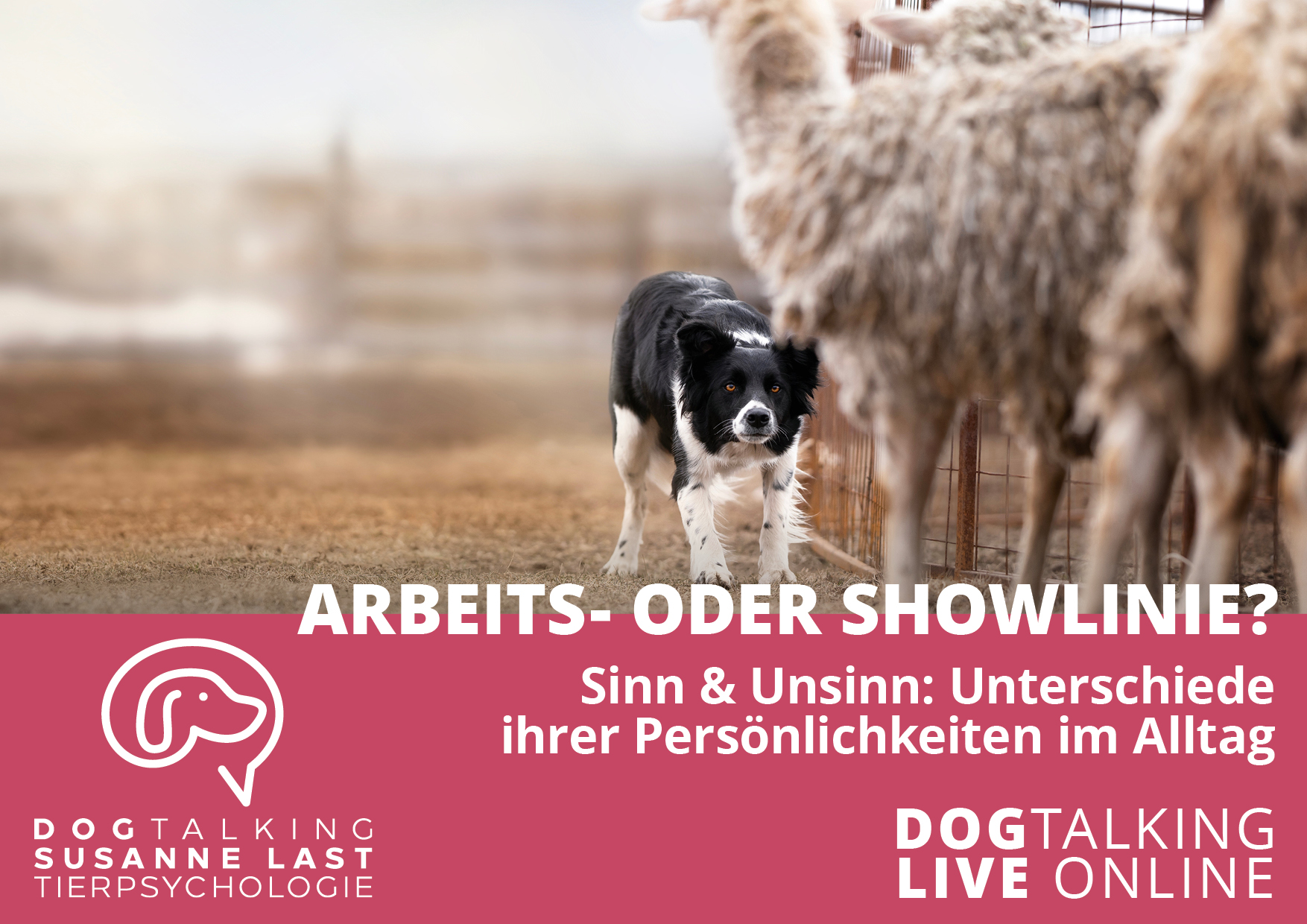Arbeits- oder Showlinie Sinn & Unsinn: Unterschiede ihrer Persönlichkeit im Alltag