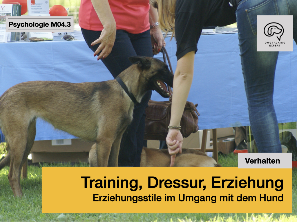 M04.3 Training, Dressur, Erziehung - Erziehungsstile im Umgang mit dem Hund