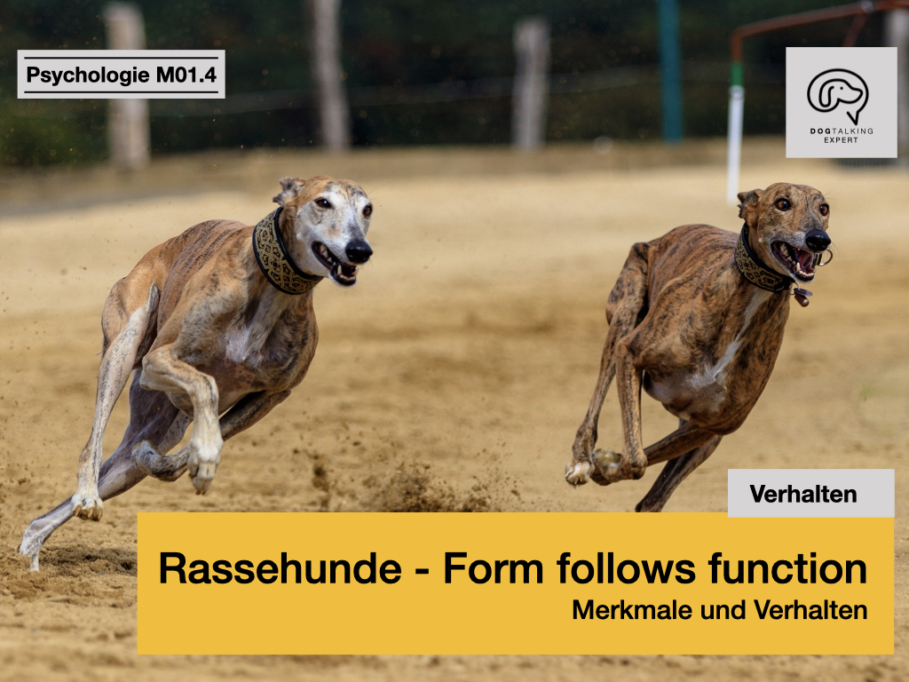M01.4 Rassehunde - Form follows function - Merkmale und Verhalten