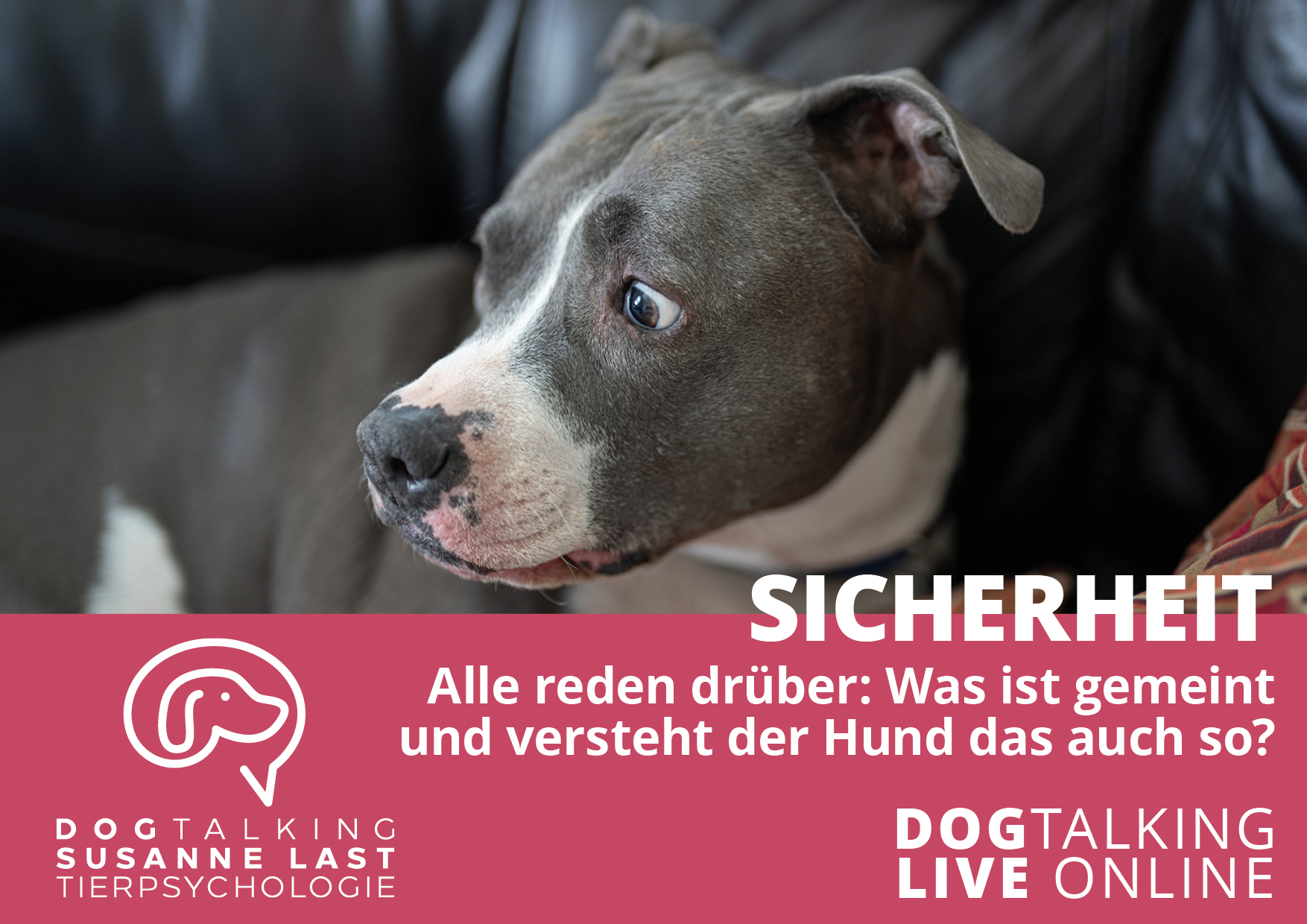 Sicherheit -  Alle reden drüber: Was ist gemeint und versteht der Hund das auch so? DOGTALKING live online Aufzeichnung 