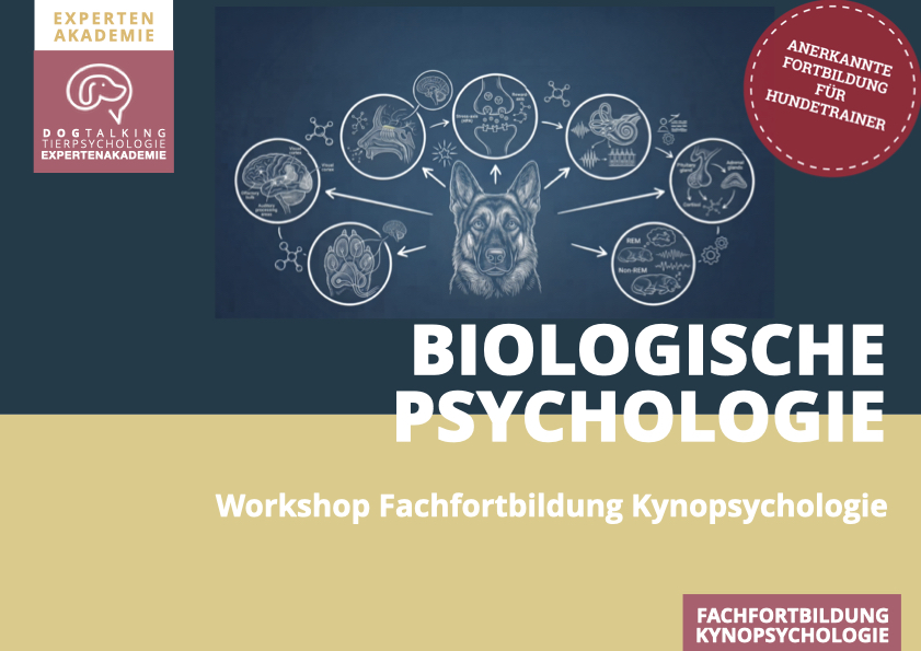 28./29.11.2026 Biologische Psychologie des Hundes - Workshop