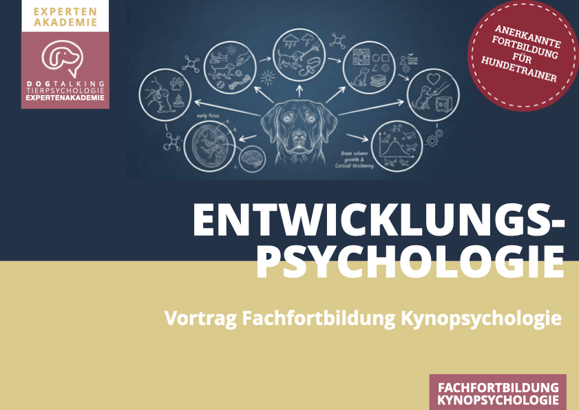 21.01.2027 Einführung in die Entwicklungspsychologie des Hundes - interaktiver Vortrag