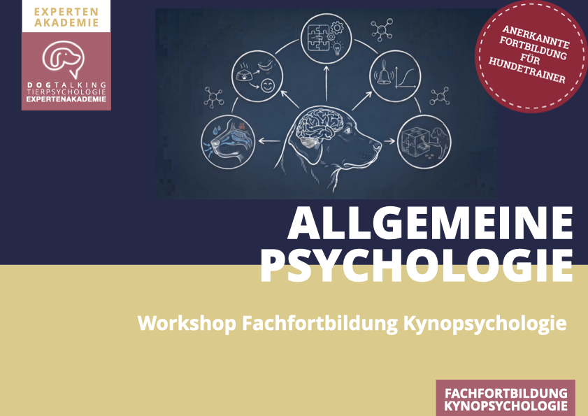 19./20.12.2026 Allgemeine Psychologie des Hundes - Workshop