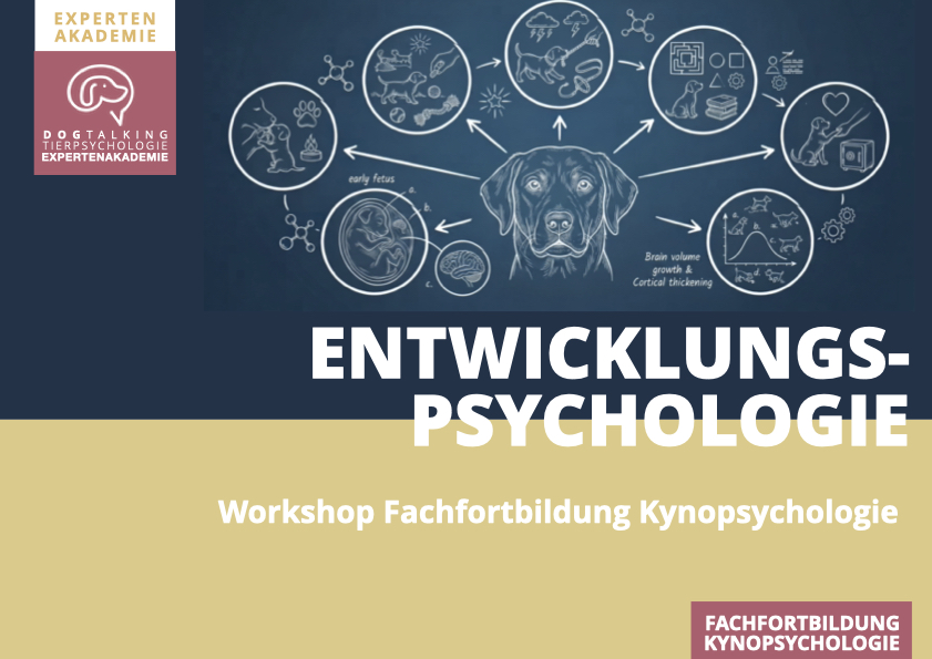 30./31.01.2027 Entwicklungspsychologie des Hundes - Workshop