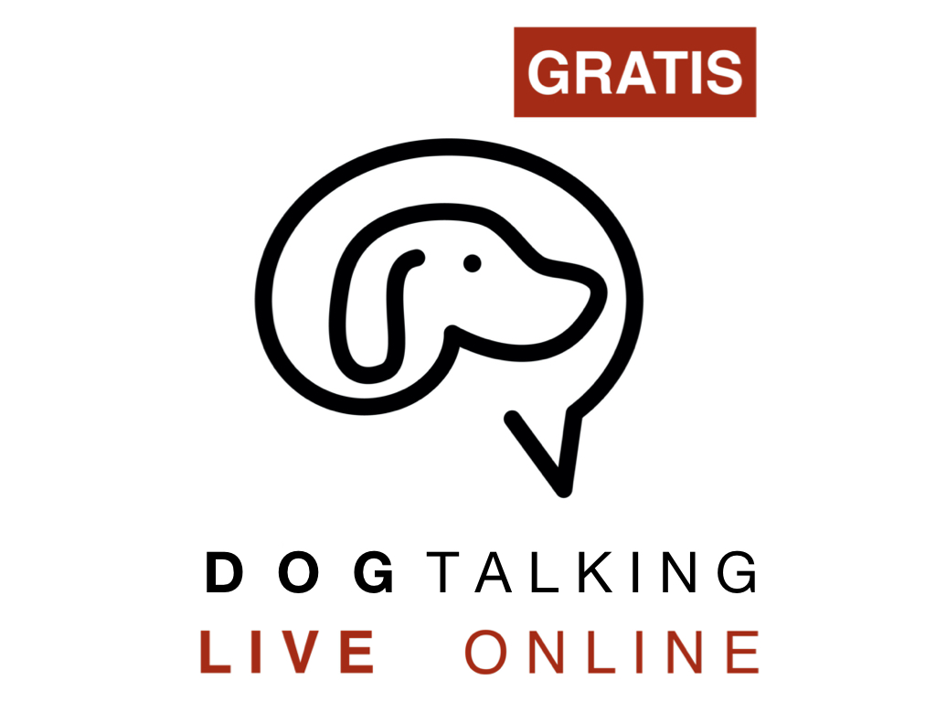 DogTalking live online - GRATIS Dienstag, 06.02.24 um 20 Uhr