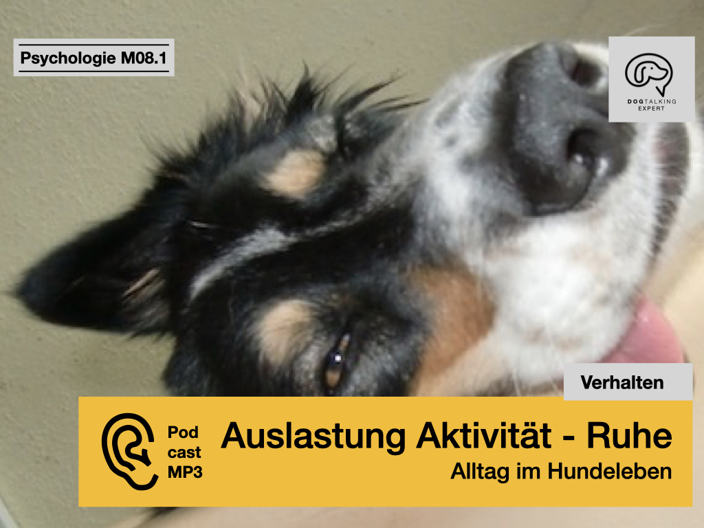 Audio M08.1 Auslastung Aktivität - Ruhe - Alltag im Hundeleben