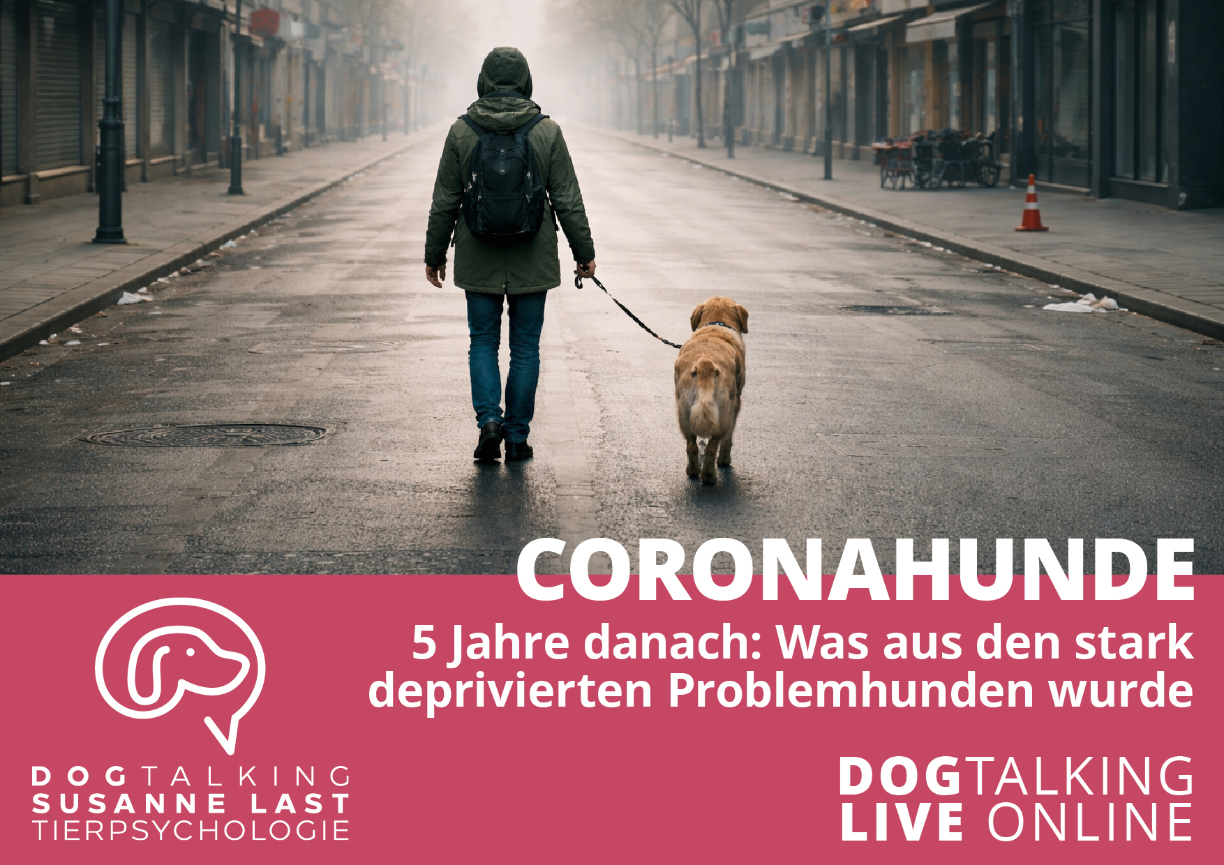 Coronahunde - 5 Jahre danach Was aus den stark deprivierten Problemhunden wurde