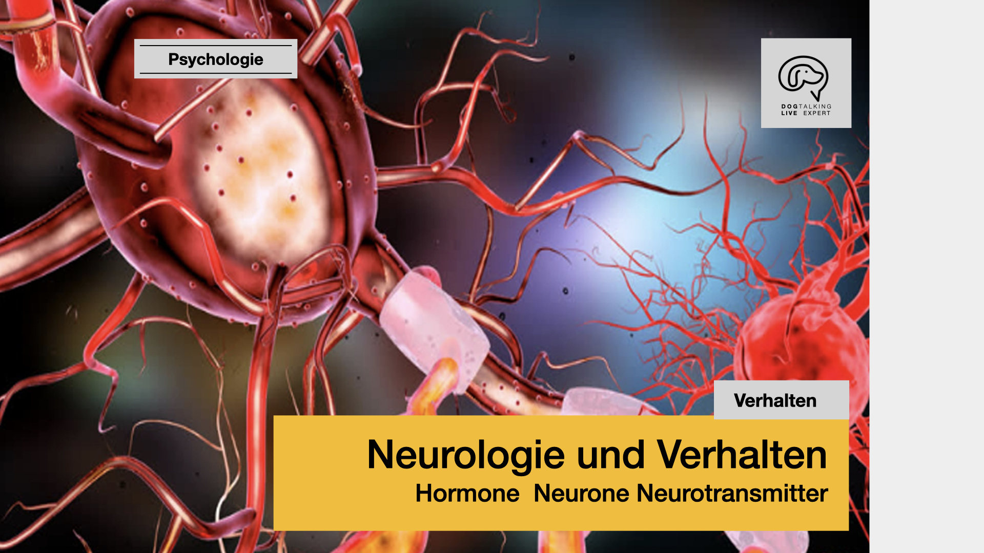Neurologie und Verhalten - Hormone, Neurone, Neurotransmitter