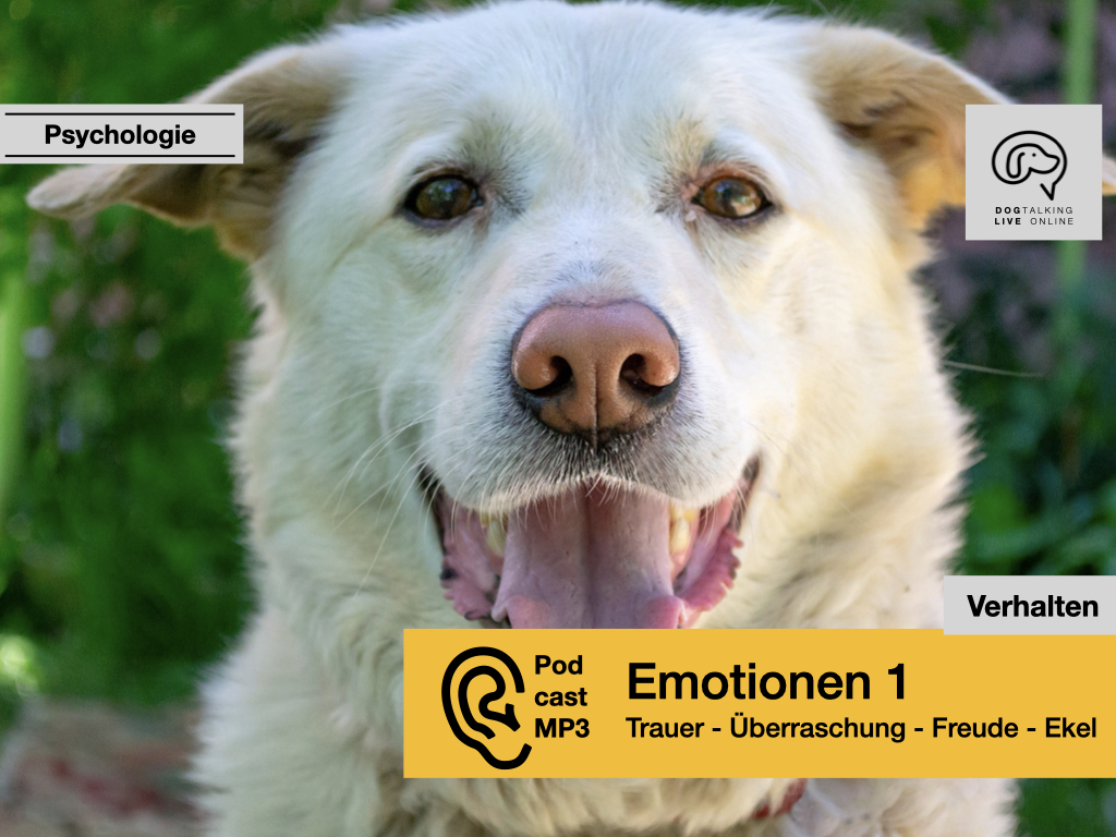 Audio Emotionen 1: Trauer, Überraschung, Freude, Ekel