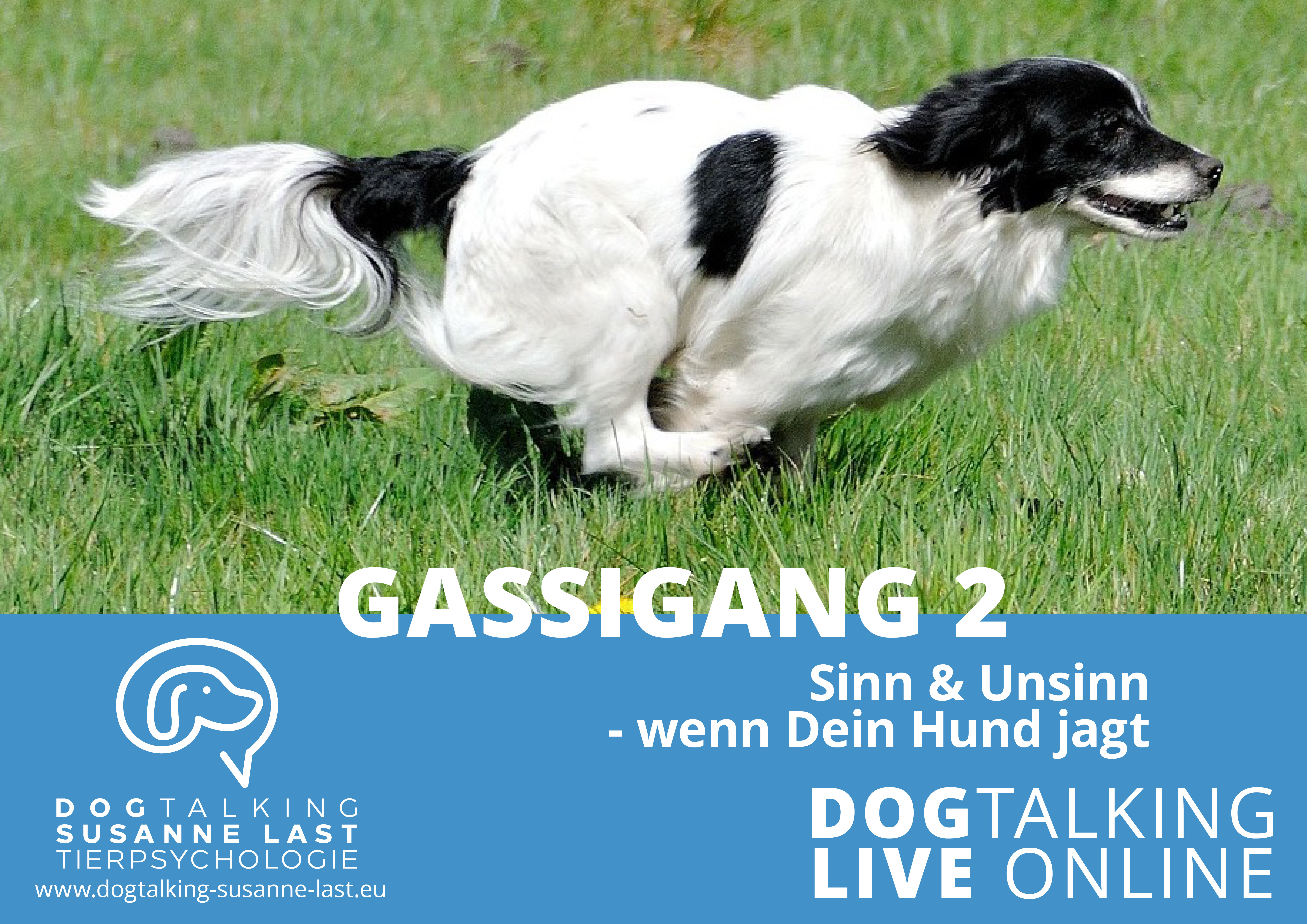 Gassigang 2 - Wenn Dein Hund jagt DOGTALKING live online Aufzeichnung 