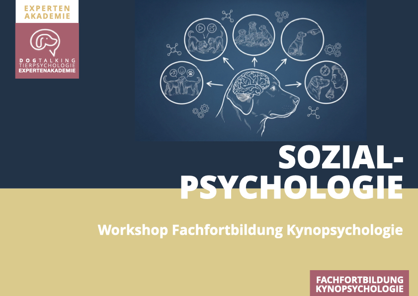 26./27.06.2027 Sozialpsychologie des Hundes - Workshop