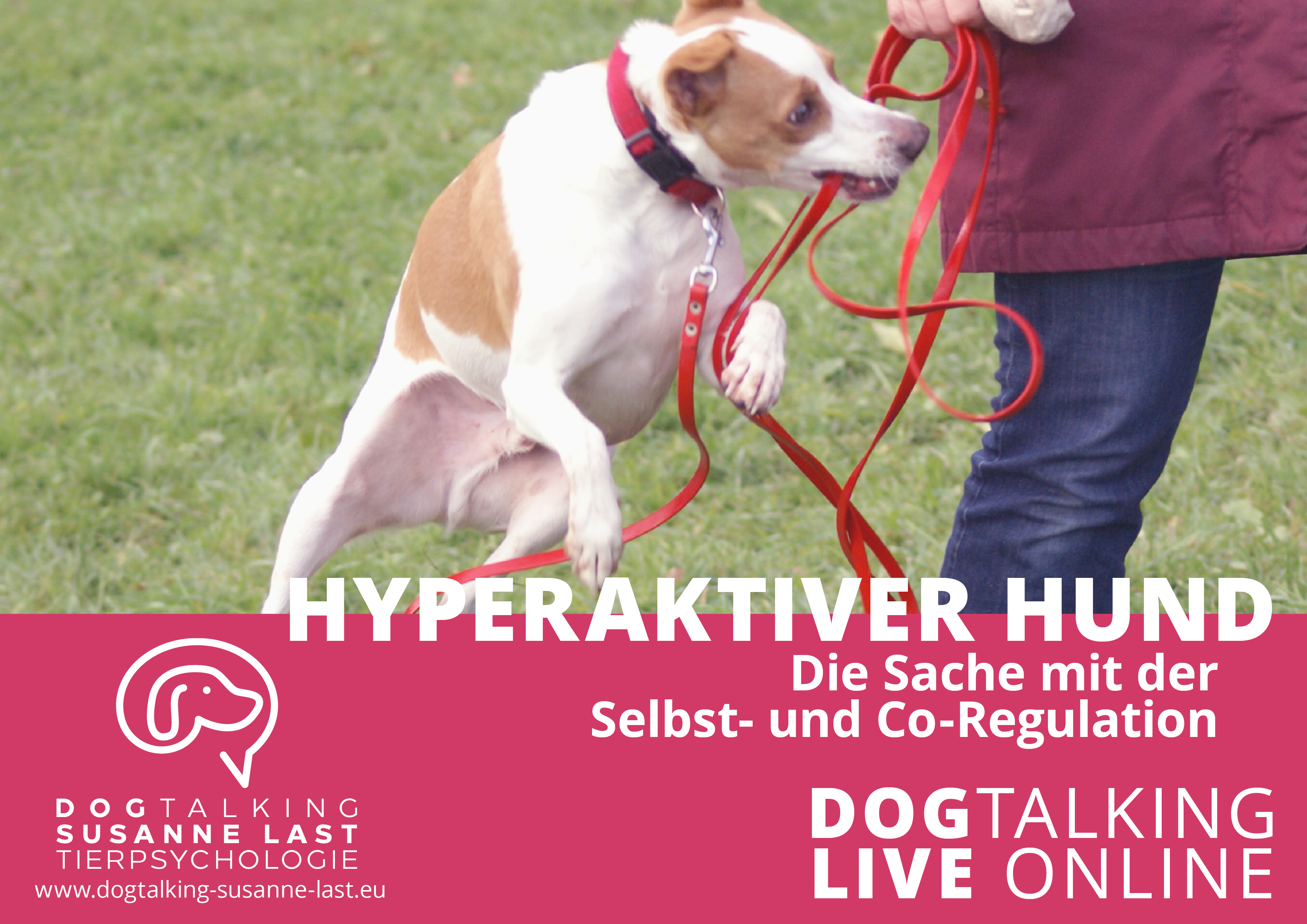 Hyperaktiver Hund - Die Sache mit der Selbst- und Co-Regulation - DOGTALKING live online Aufzeichnung 