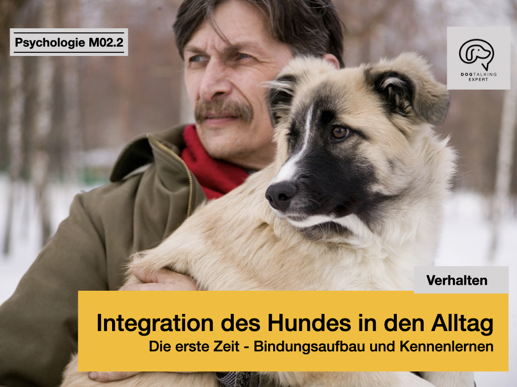 M02.2 Integration des Hundes in den Alltag - die erste Zeit - Bindungsaufbau und Kennenlernen