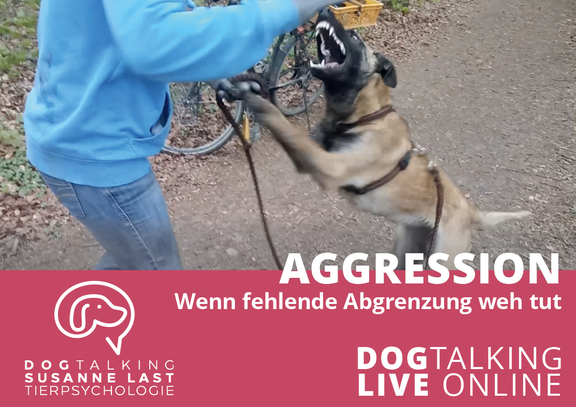 Aggression - wenn fehlende Abgrenzung weh tut DOGTALKING live online Aufzeichnung