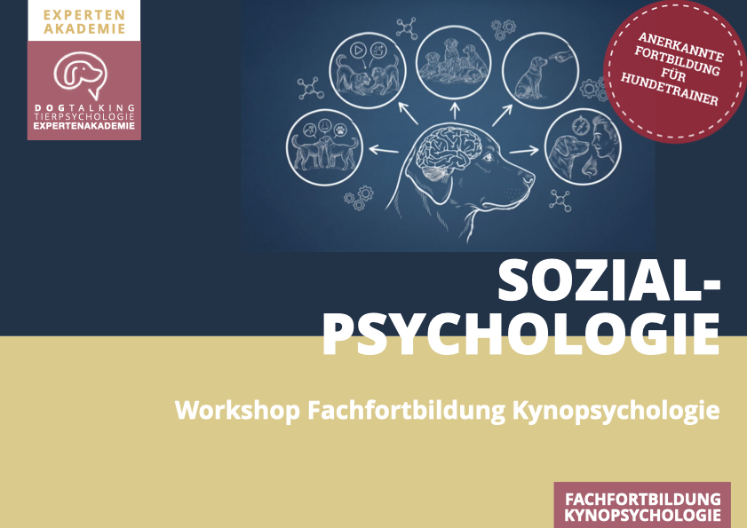 26./27.06.2027 Sozialpsychologie des Hundes - Workshop