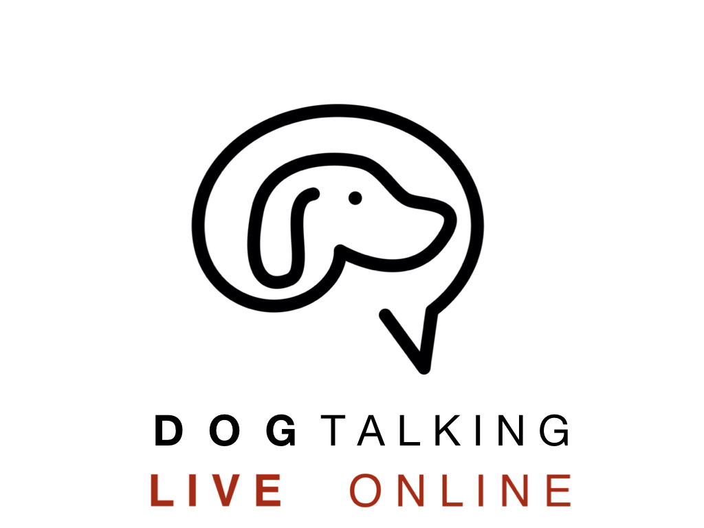 DogTalking live online - 3.Quartal 2024 - Sommertour