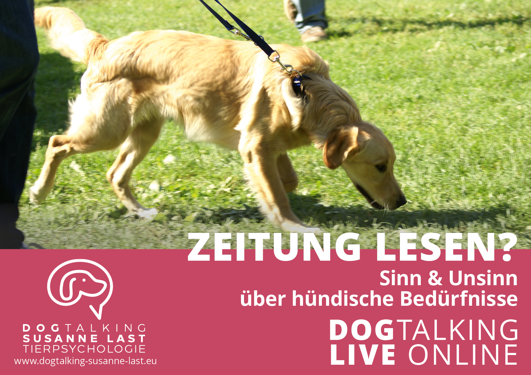 Zeitung lesen - Sinn & Unsinn über hündische Bedürfnisse Dogtalking live online Aufzeichnung
