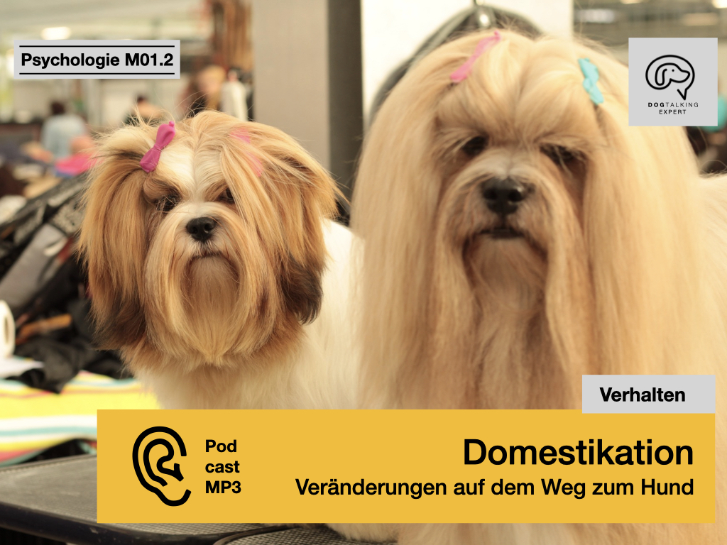 Audio M01.2 Domestikation - Veränderungen auf dem Weg zum Hund