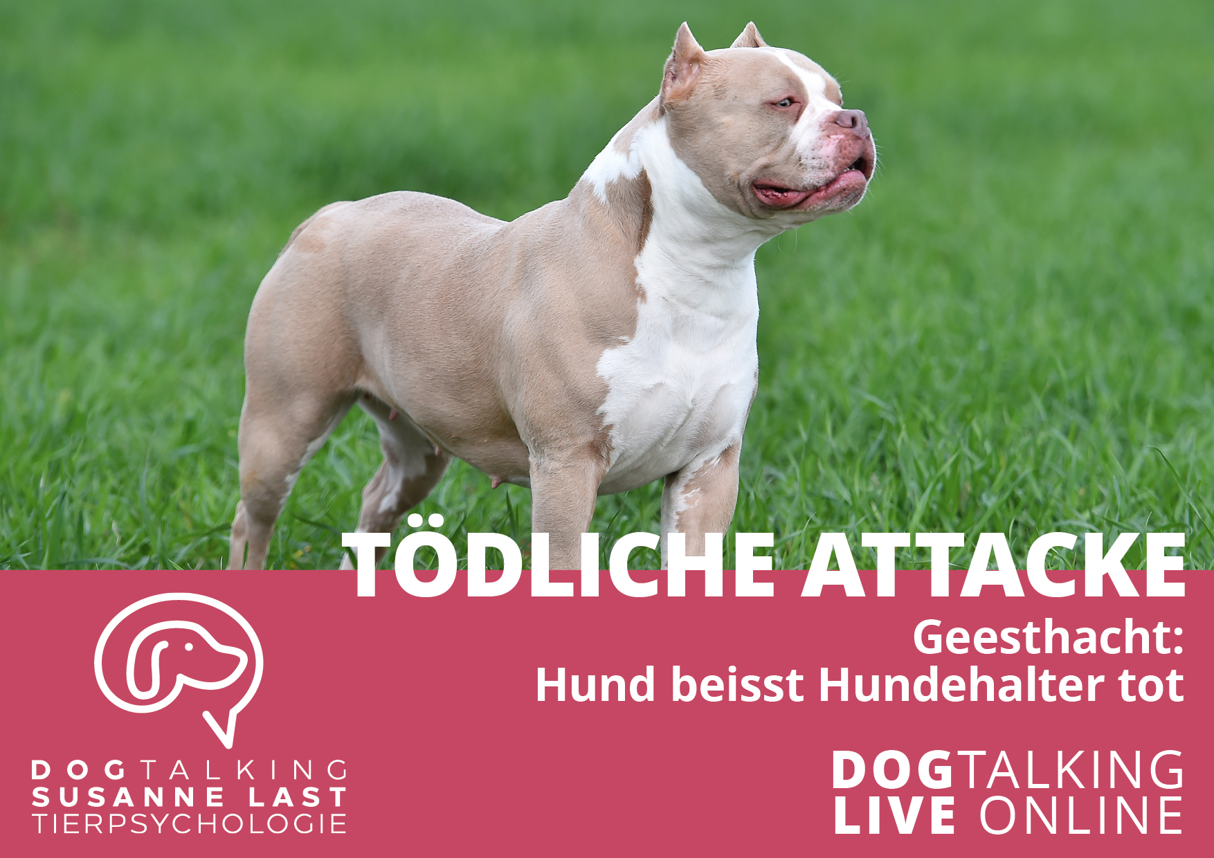 Tödliche Attacke Geesthacht: Hund beisst Hundehalter tot