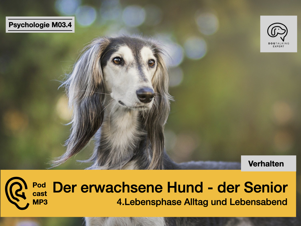 Audio M03.4 Der erwachsene Hund - der Senior - 4.Lebensphase - Alltag und Lebensabend
