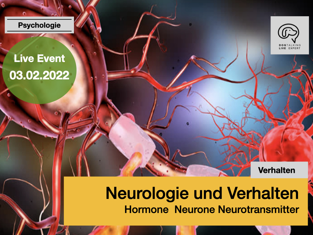 03.02.2022: Neurologie und Verhalten - Hormone, Neurone, Neurotransmitter