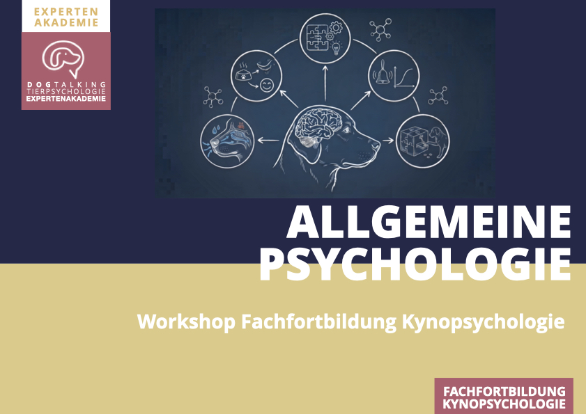 19./20.12.2026 Allgemeine Psychologie des Hundes - Workshop